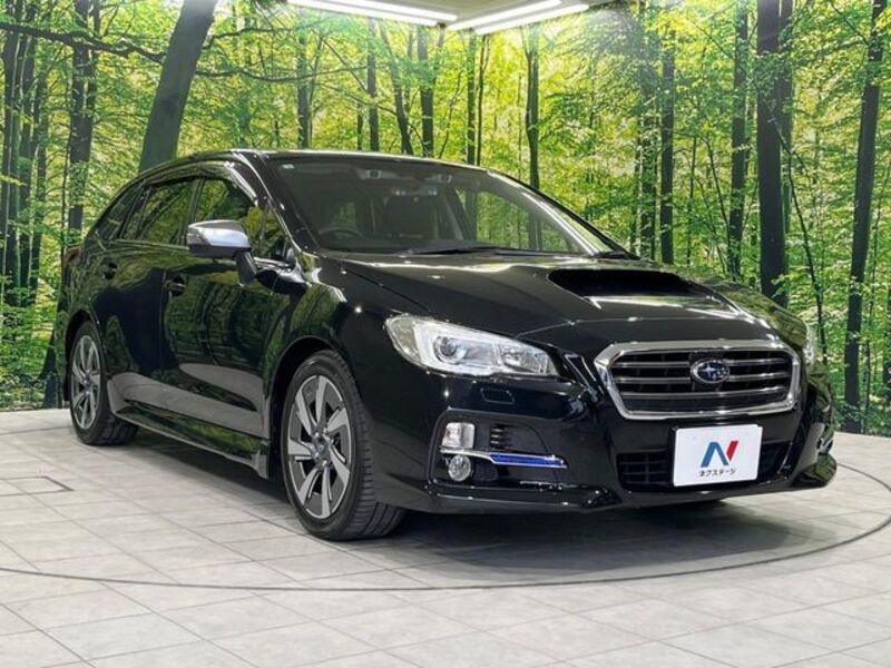 LEVORG