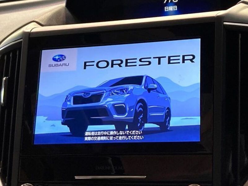 FORESTER