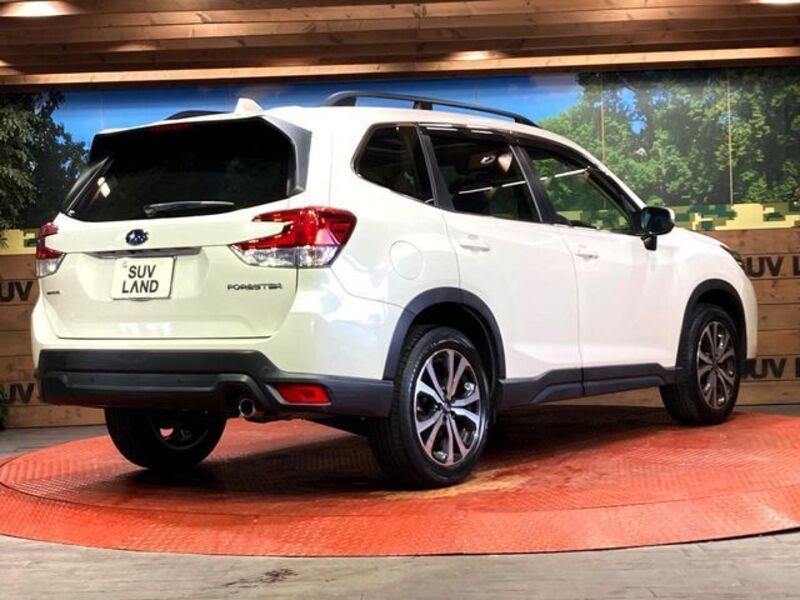 FORESTER