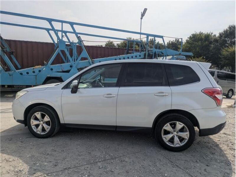 FORESTER