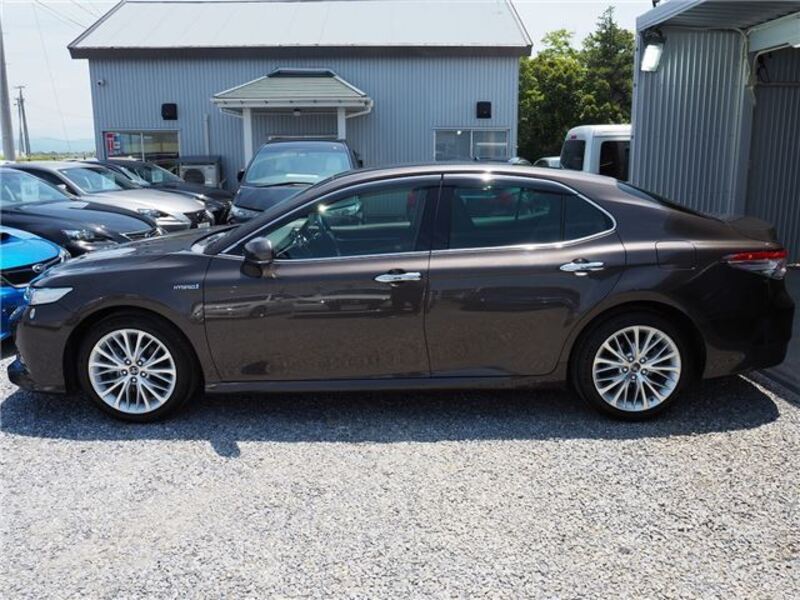 CAMRY