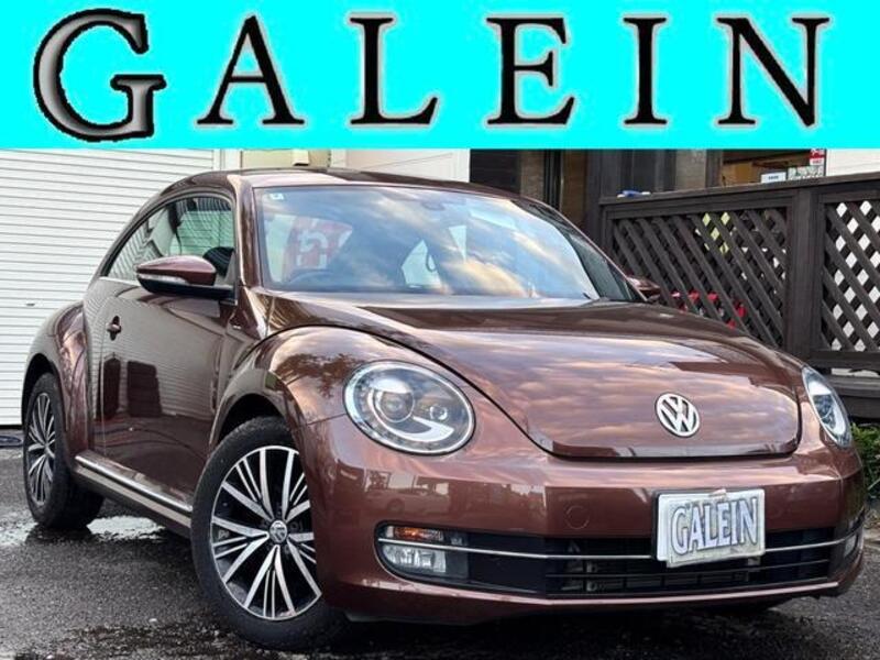 THE BEETLE