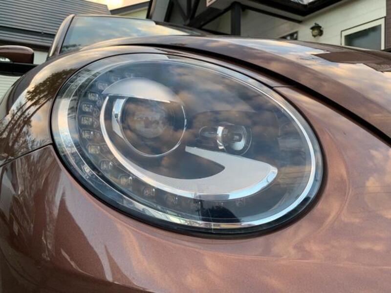 THE BEETLE