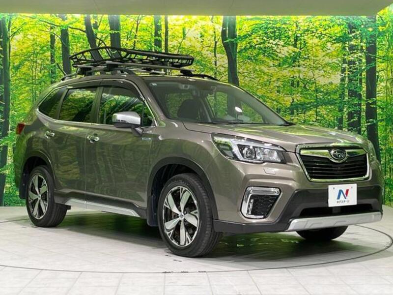 FORESTER