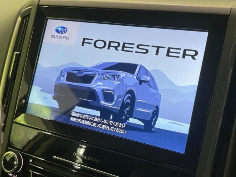 FORESTER