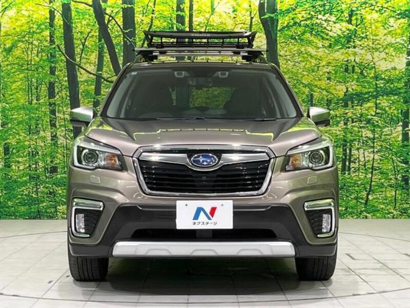 FORESTER