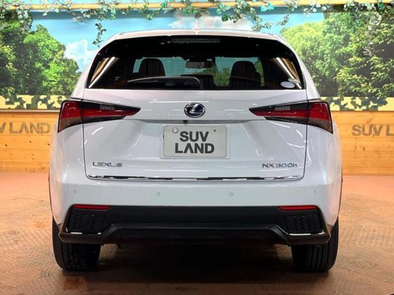 NX