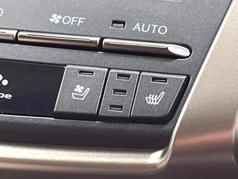 NX