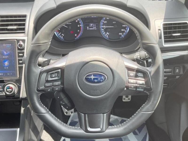 LEVORG