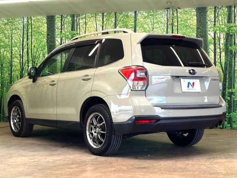 FORESTER