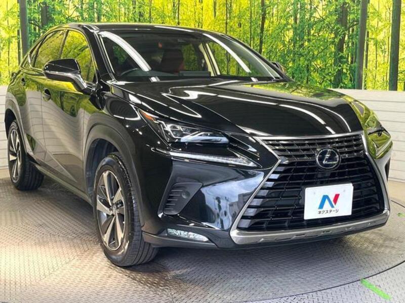 NX