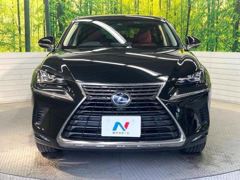 NX