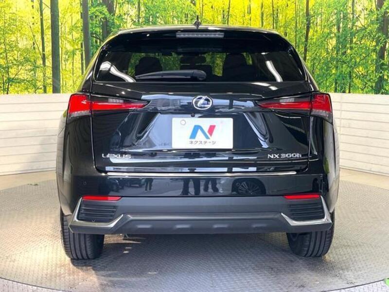NX