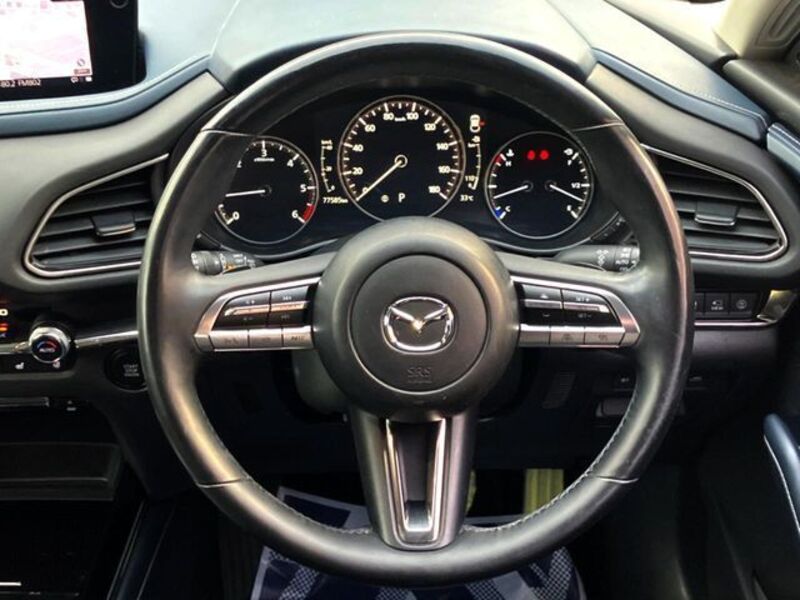 CX-30
