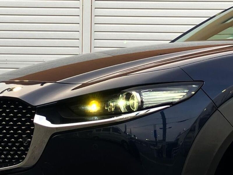CX-30
