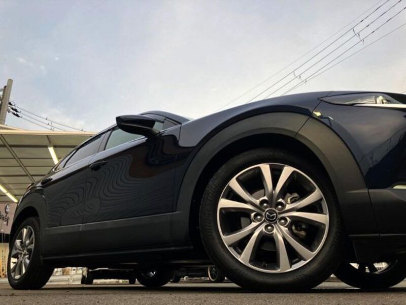CX-30
