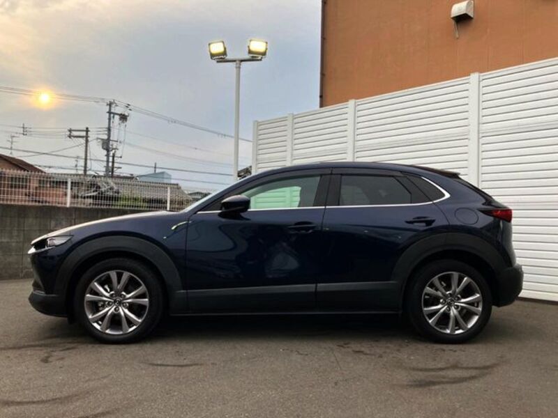 CX-30