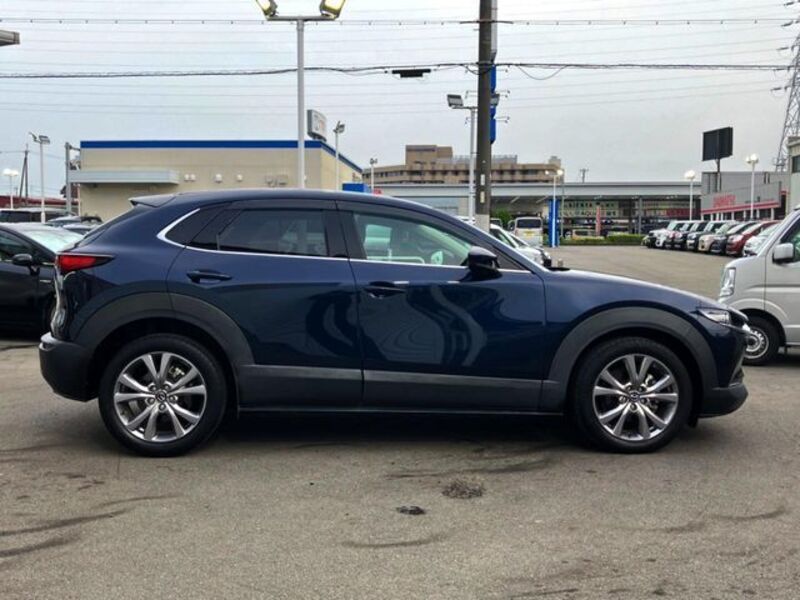CX-30