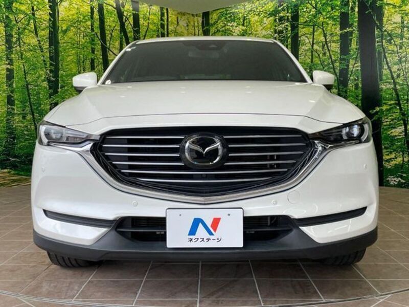 CX-8