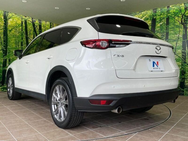 CX-8