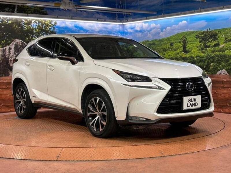 NX
