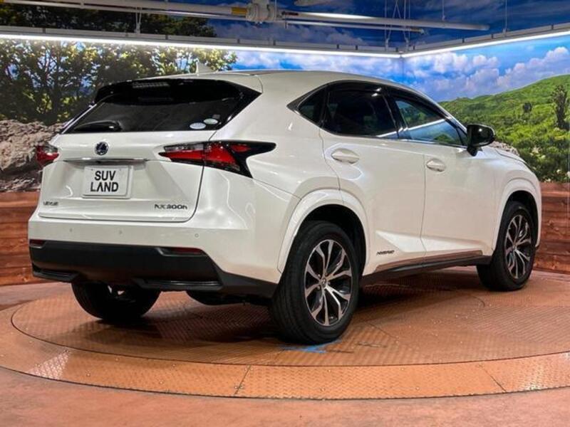 NX