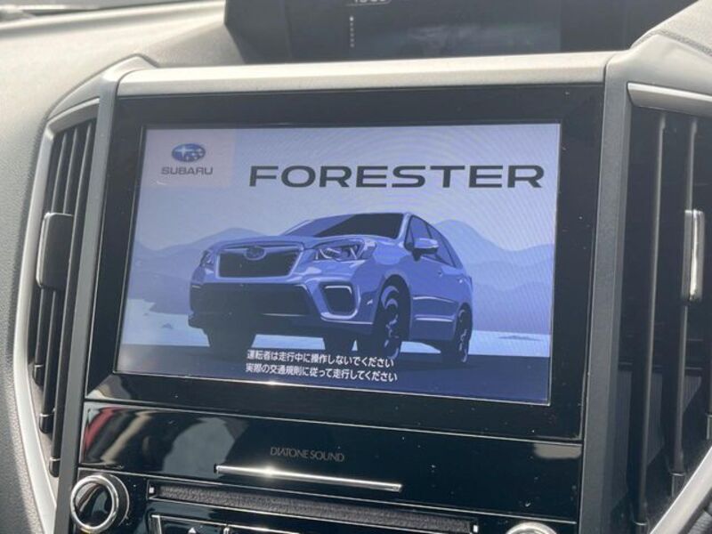 FORESTER