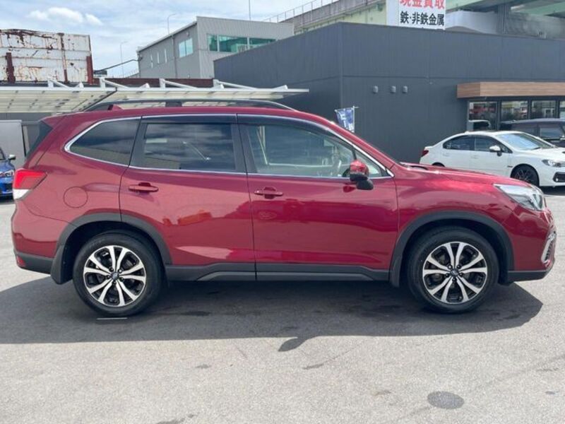 FORESTER