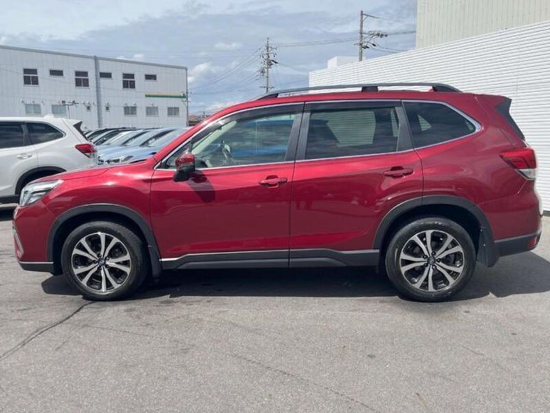 FORESTER