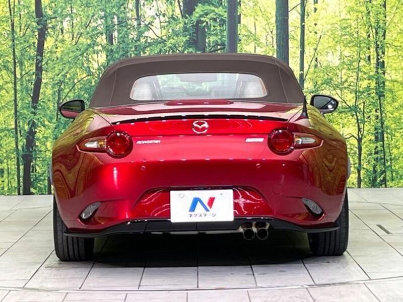 ROADSTER