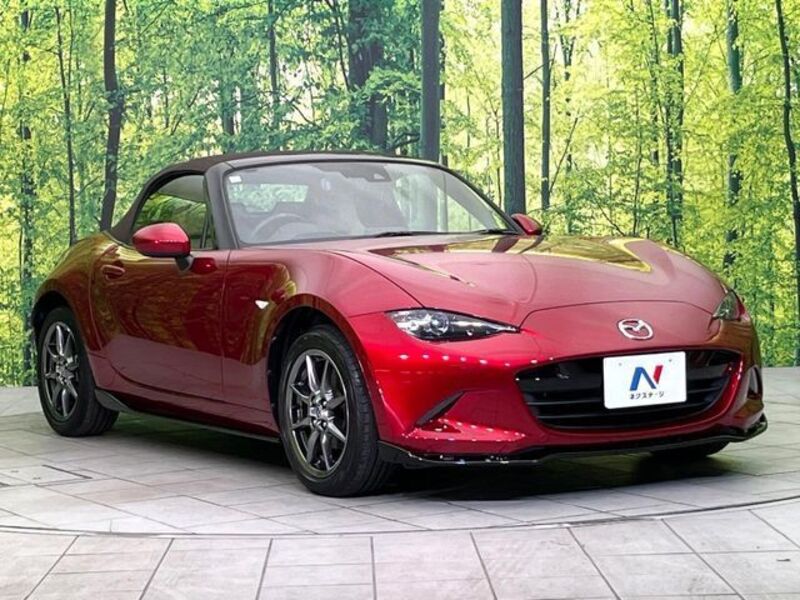 ROADSTER