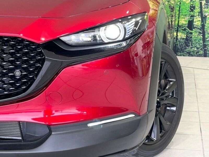 CX-30