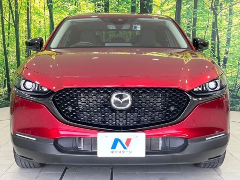 CX-30