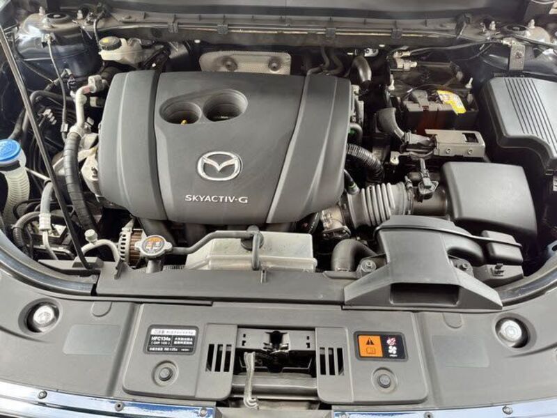 CX-8