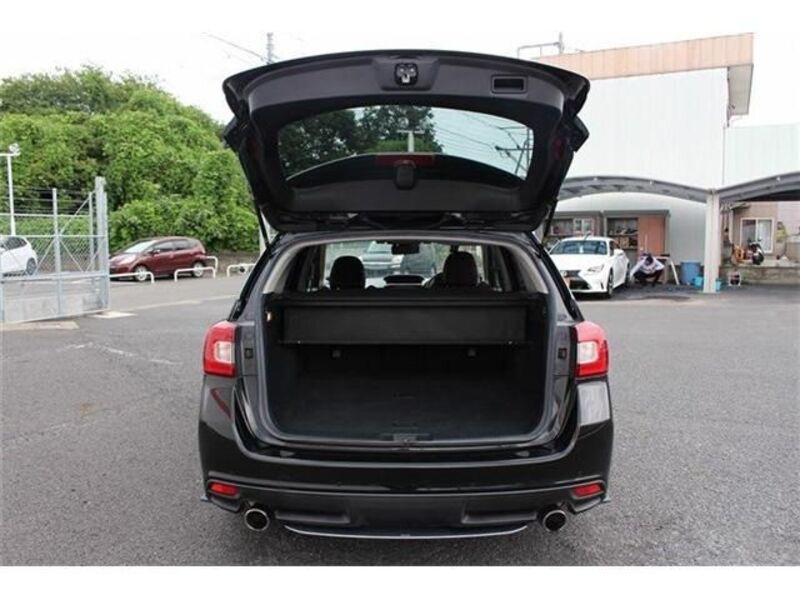 LEVORG