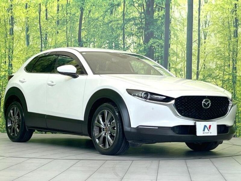 CX-30