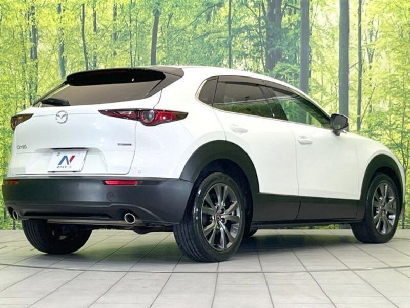 CX-30