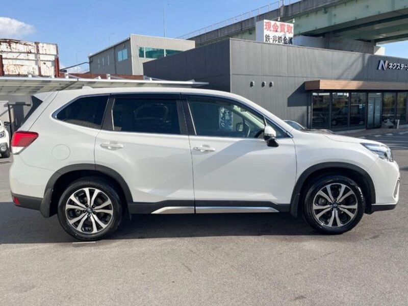 FORESTER