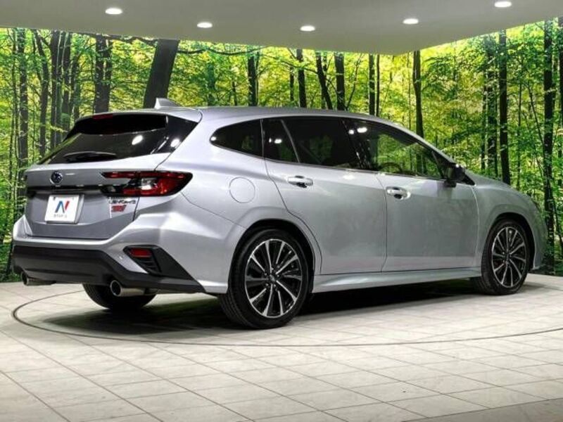 LEVORG