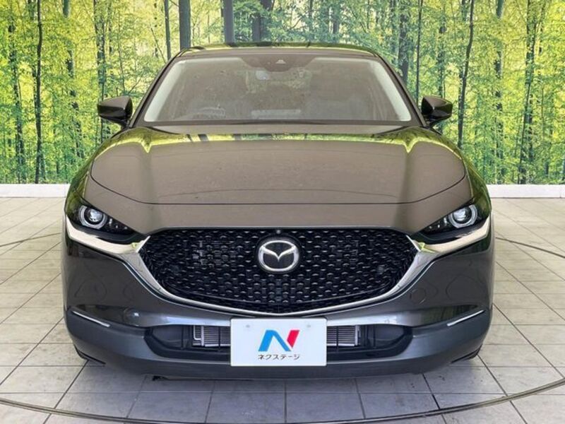 CX-30