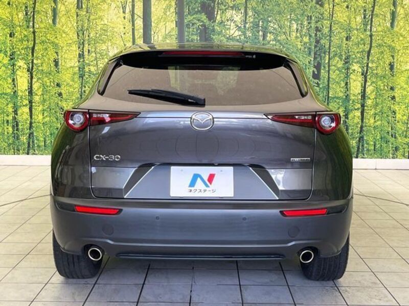 CX-30