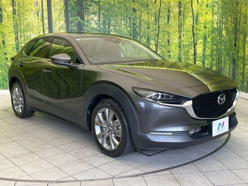 CX-30