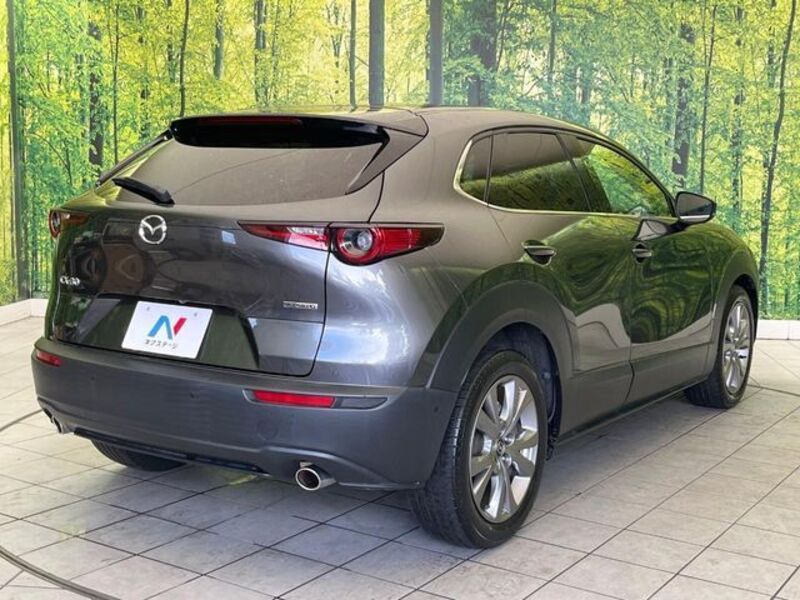 CX-30