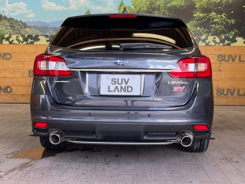 LEVORG