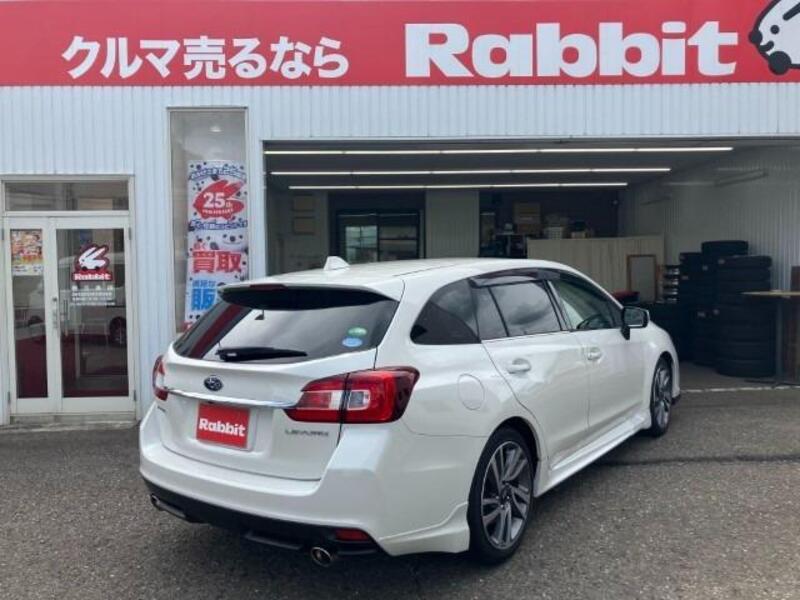 LEVORG