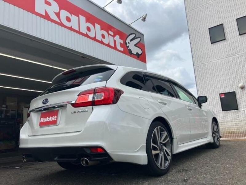 LEVORG
