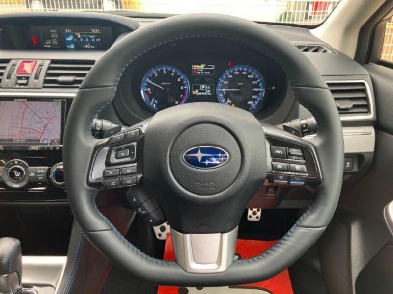 LEVORG
