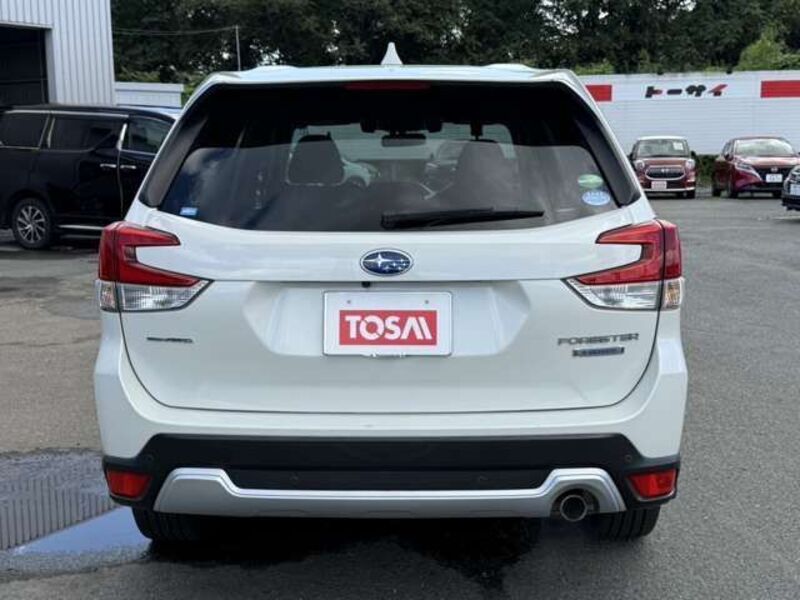 FORESTER