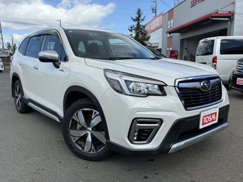 FORESTER