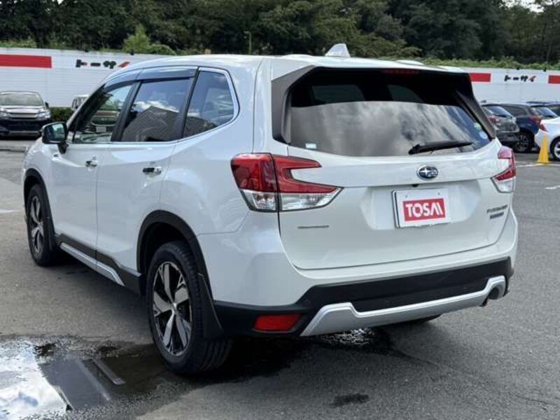 FORESTER